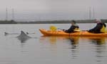 BLUE WATER SEA KAYAKING